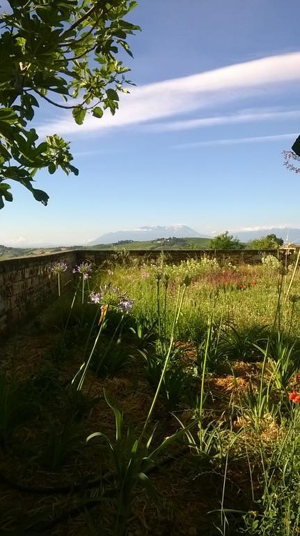 Вилла Agriturismo Castelli In Aria Атри Экстерьер фото